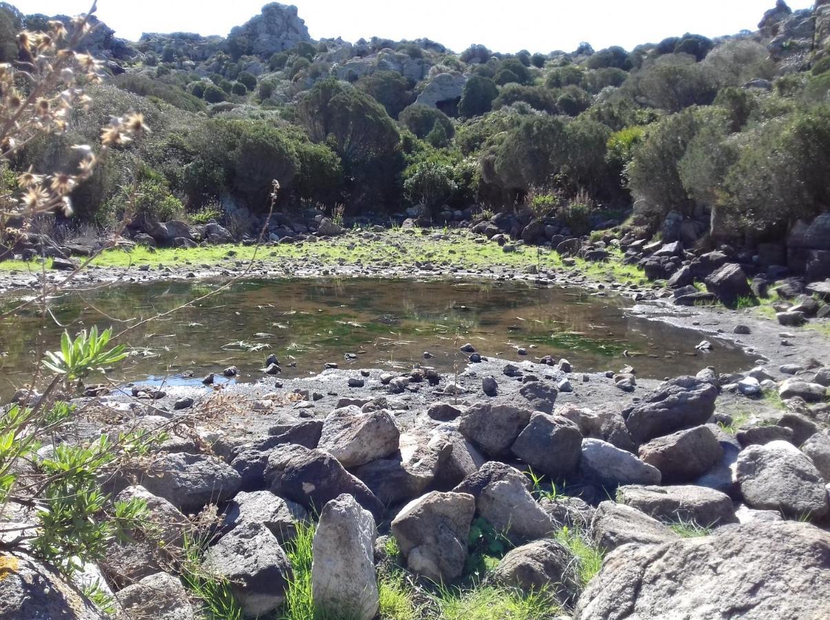 B & B Il Mirto 2 Sant'Antioco Bagian luar foto