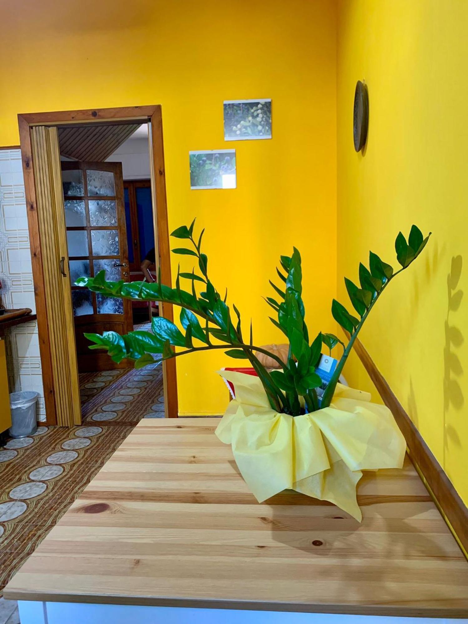 B & B Il Mirto 2 Sant'Antioco Bagian luar foto